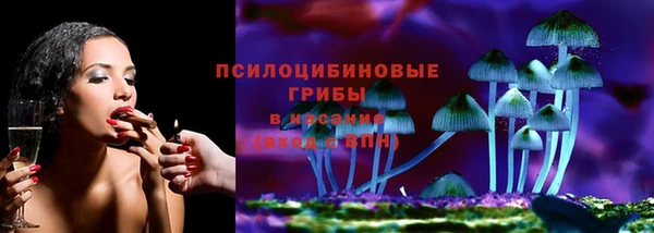стафф Горно-Алтайск